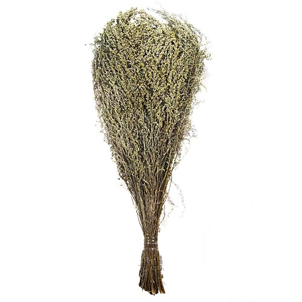 Веник Полынь - №1