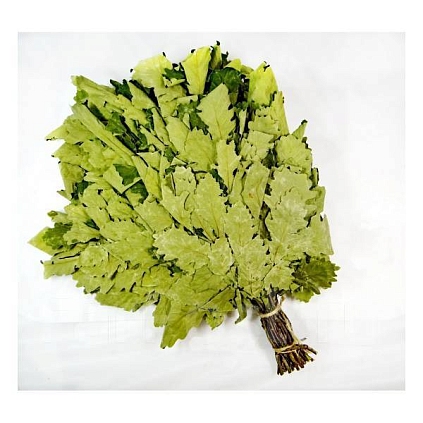 Веник "Дубовый кавказский" стандартный - №1