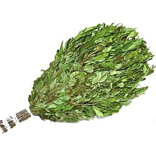 Веник Вишня