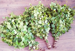 Веник берёзовый премиум в индивидуальной упаковке