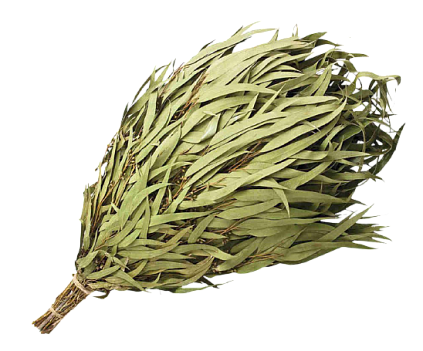 Веник Эвкалиптовый - №1