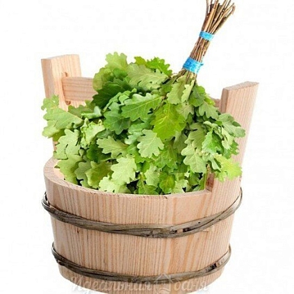 Веник Дубовый ЛЮКС - №1