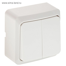 Выключатель Luazon Lighting "СПБ", 10 А, 2 клавиши, белый 3092312