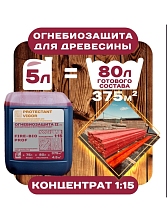 Огнебиозащита 2гр концентрат 1:15 Protectant Vigor Fire bio Prof  5л