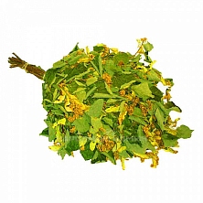 Веник липовый